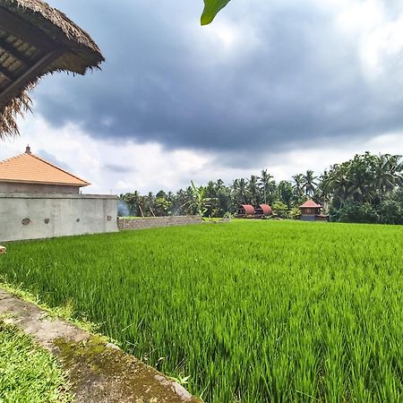 Villa Padi Menari 우붓 외부 사진