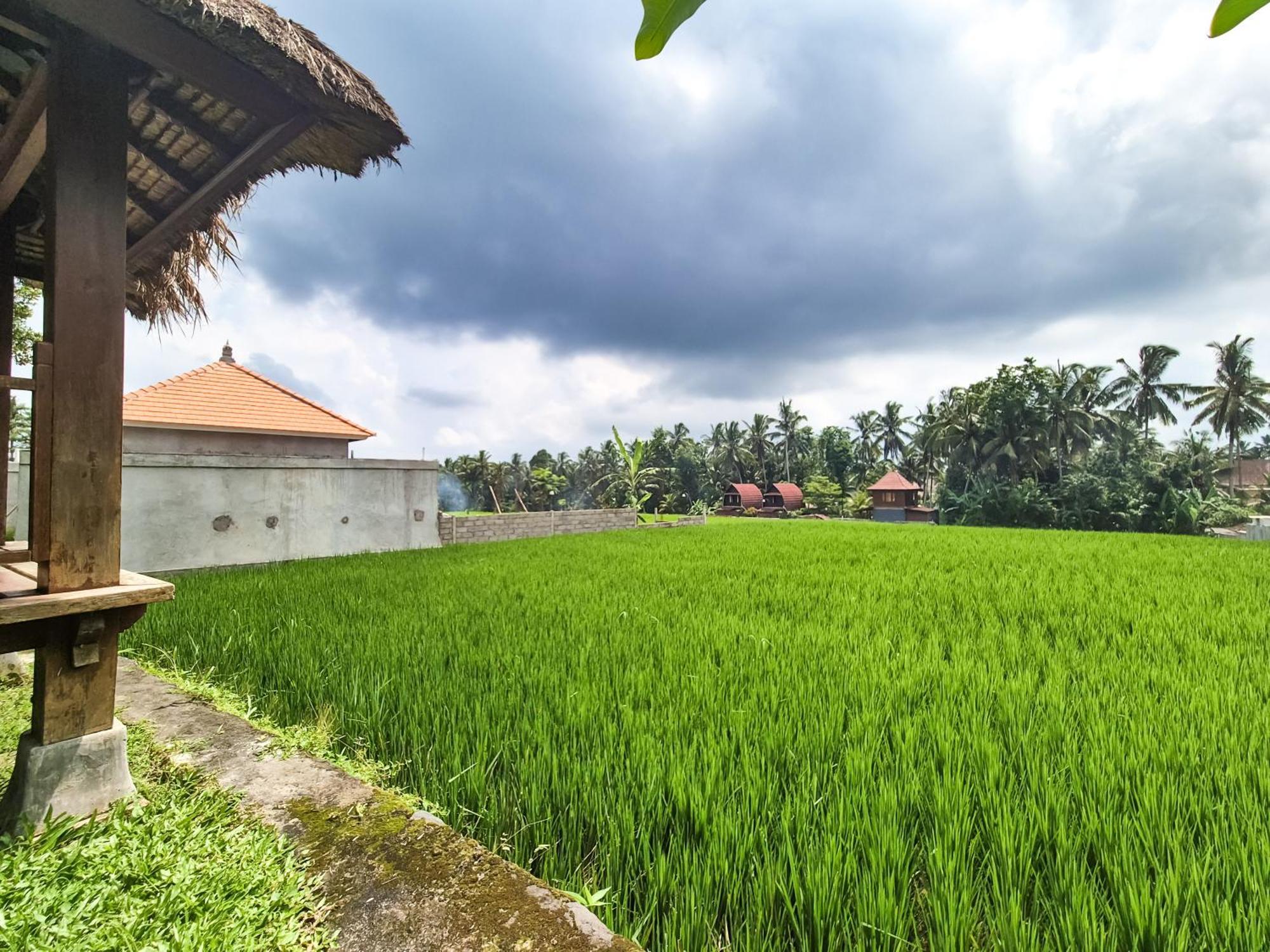 Villa Padi Menari 우붓 외부 사진
