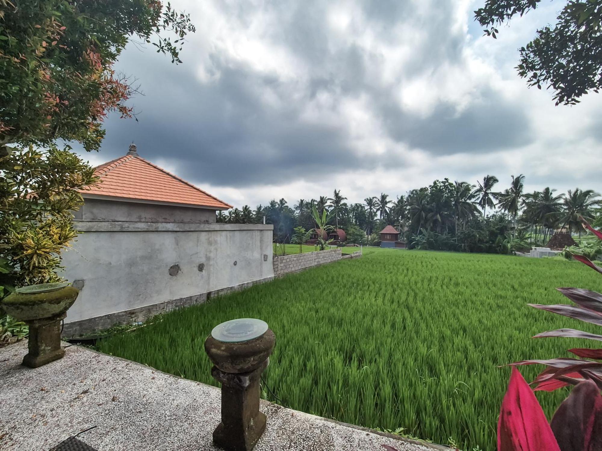 Villa Padi Menari 우붓 외부 사진