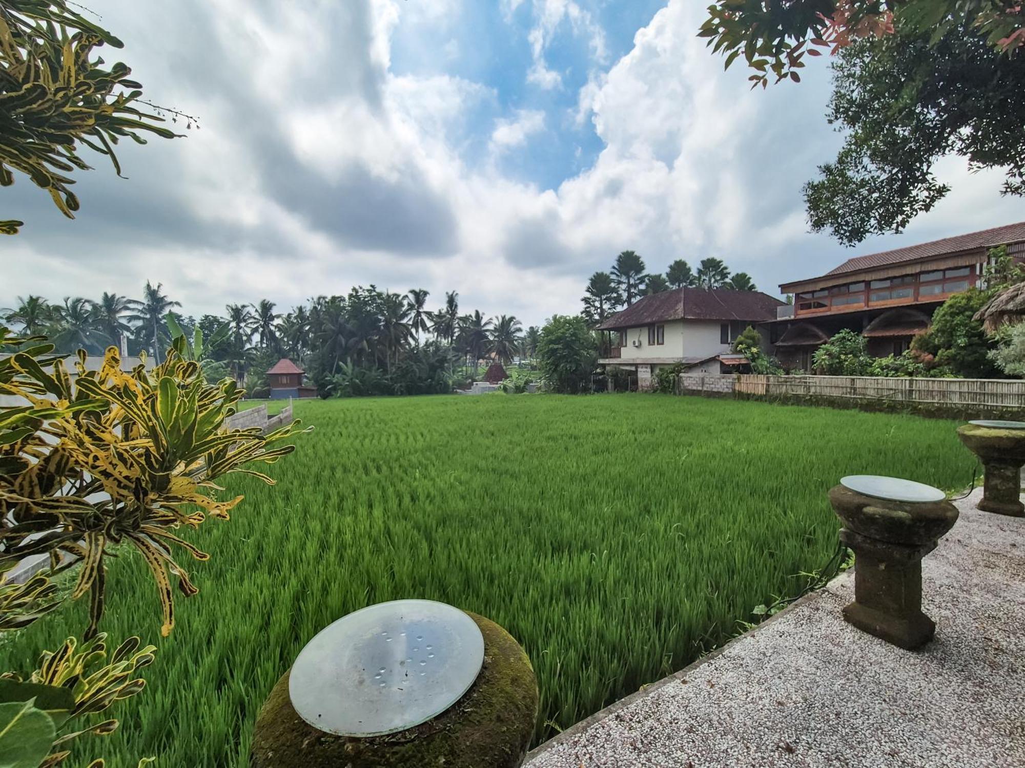 Villa Padi Menari 우붓 외부 사진
