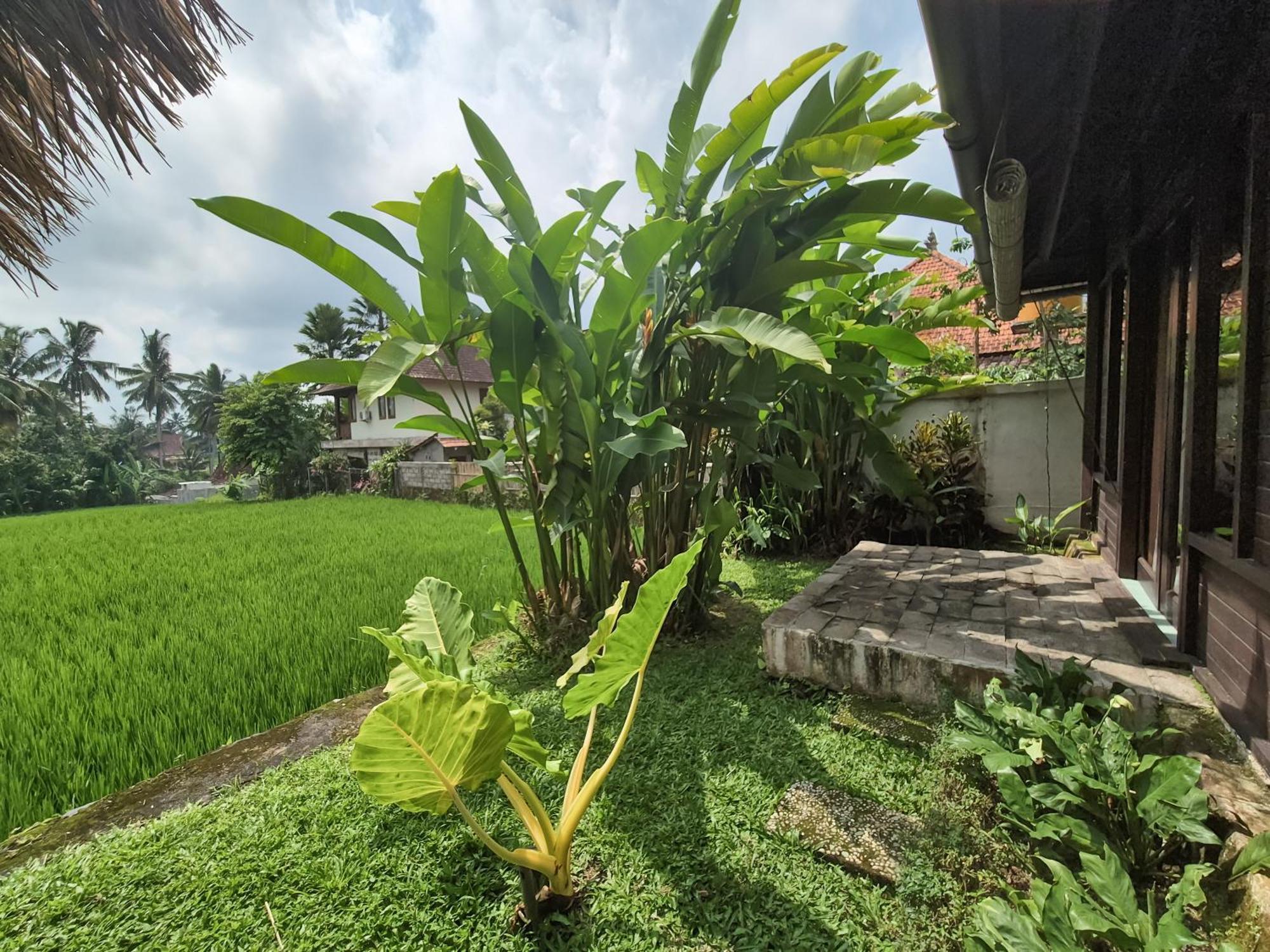 Villa Padi Menari 우붓 외부 사진